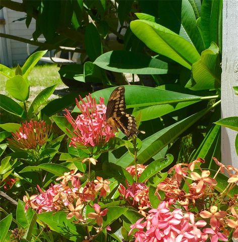 8550 LITTLE GASPARILLA ISLAND, Placida, FL 33946