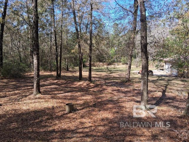 43053 State Highway 225, Bay Minette, AL 36507