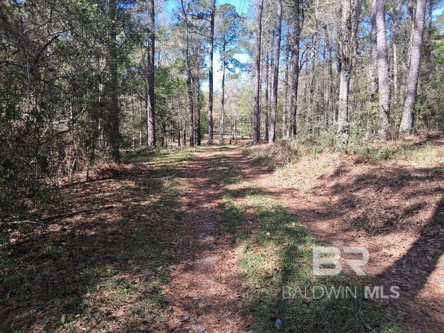 43053 State Highway 225, Bay Minette, AL 36507