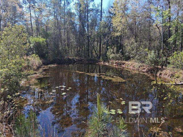 43053 State Highway 225, Bay Minette, AL 36507