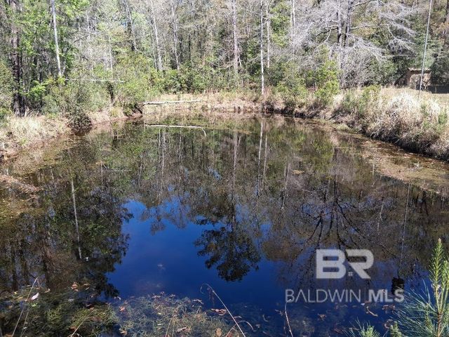 43053 State Highway 225, Bay Minette, AL 36507