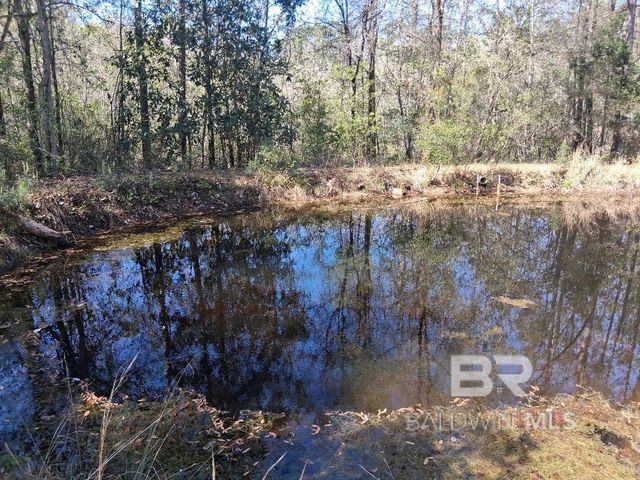 43053 State Highway 225, Bay Minette, AL 36507