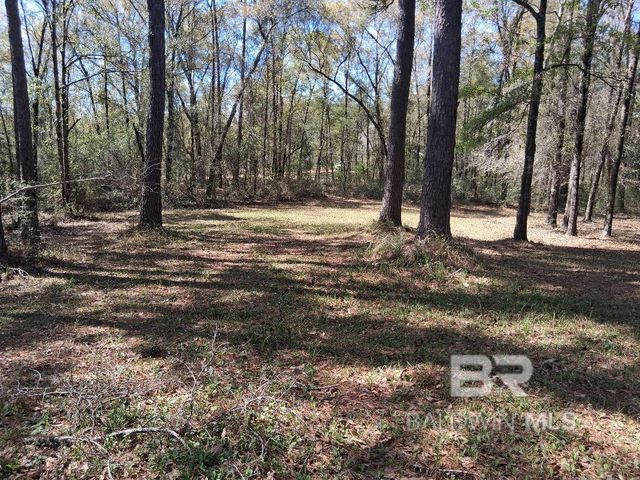 43053 State Highway 225, Bay Minette, AL 36507