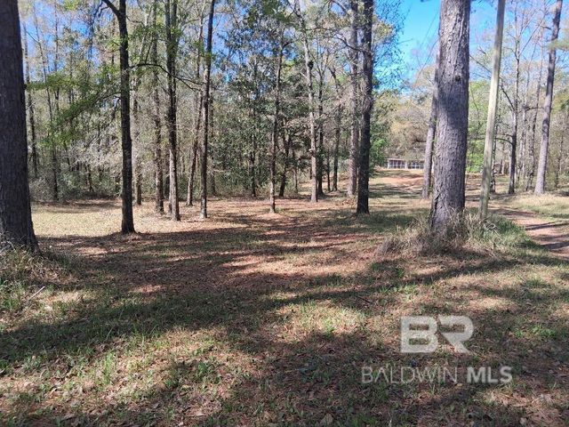 43053 State Highway 225, Bay Minette, AL 36507