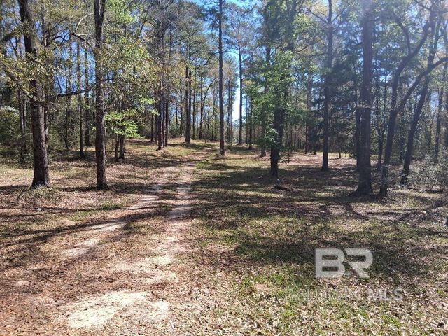 43053 State Highway 225, Bay Minette, AL 36507