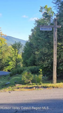 0 Twin Maples Lane, Windham, NY 12496
