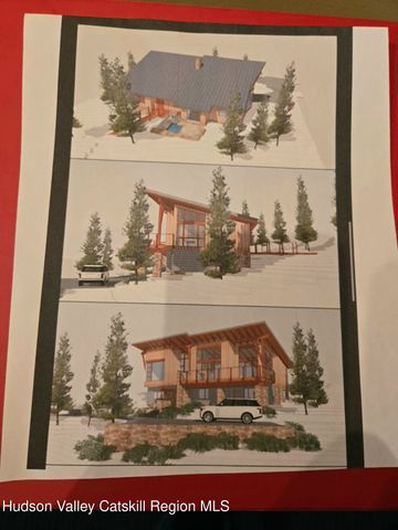 0 Twin Maples Lane, Windham, NY 12496