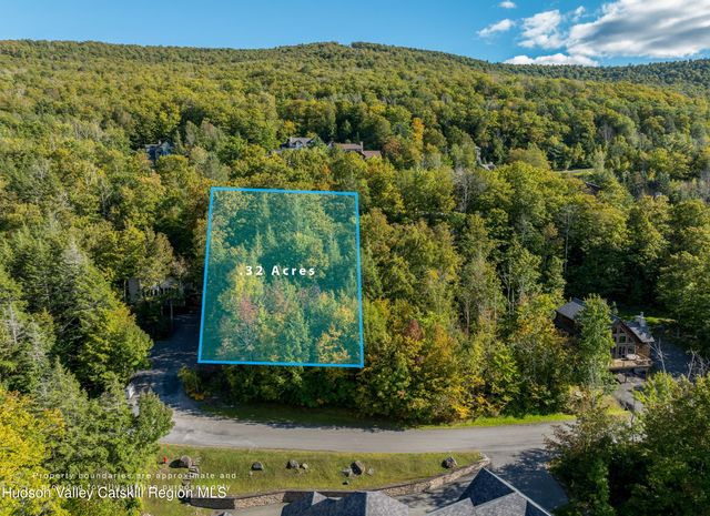 0 Twin Maples Lane, Windham, NY 12496