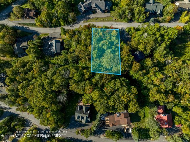 0 Twin Maples Lane, Windham, NY 12496