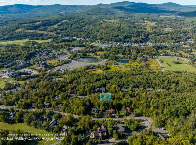 0 Twin Maples Lane, Windham, NY 12496