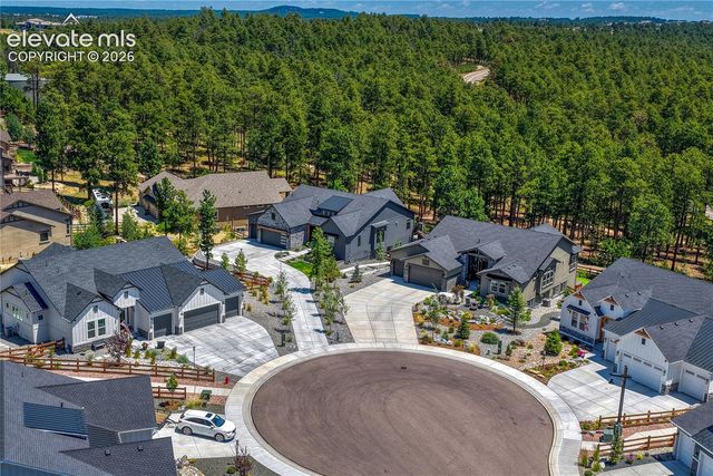 16356 Treetop Glory Court, Monument, CO 80132