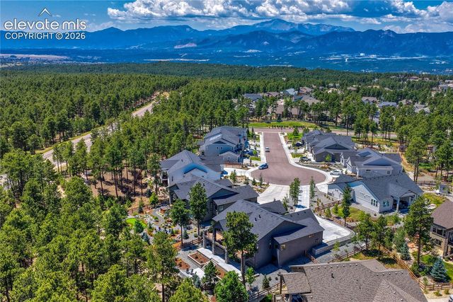 16356 Treetop Glory Court, Monument, CO 80132
