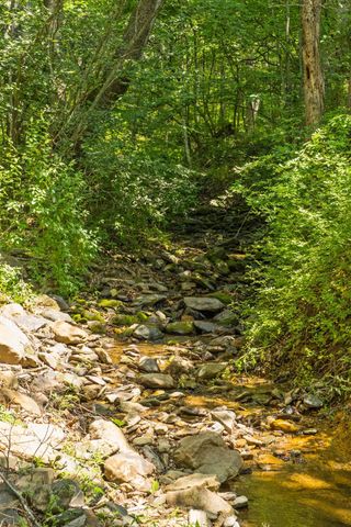 554 HARRIS COVE LN, Elkton, VA 22827