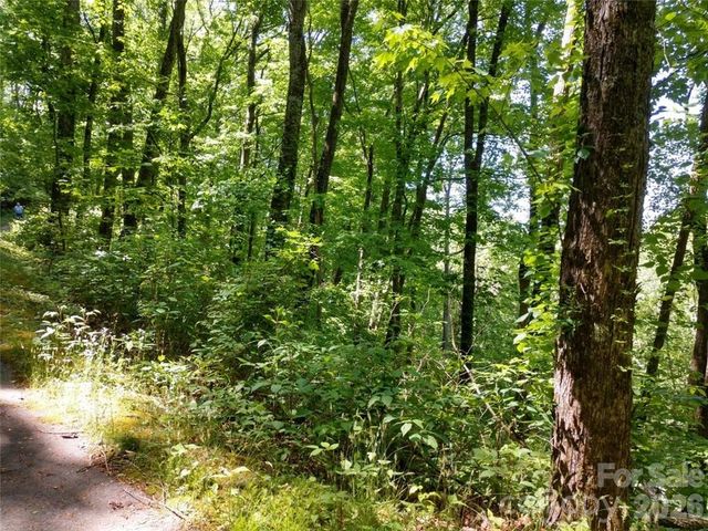 00 Hudson Valley Drive 11, Waynesville, NC 28786