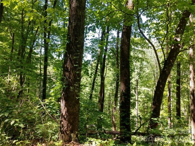 00 Hudson Valley Drive 11, Waynesville, NC 28786