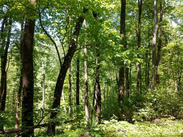 00 Hudson Valley Drive 11, Waynesville, NC 28786