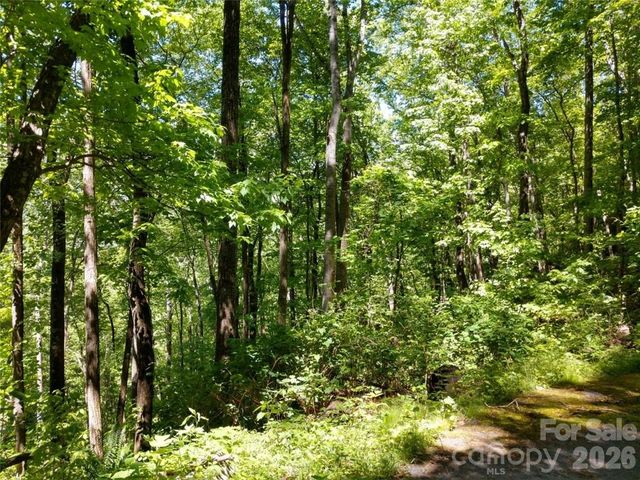 00 Hudson Valley Drive 11, Waynesville, NC 28786