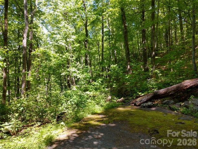 00 Hudson Valley Drive 11, Waynesville, NC 28786