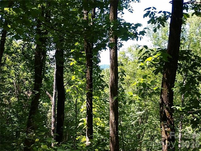 00 Hudson Valley Drive 11, Waynesville, NC 28786