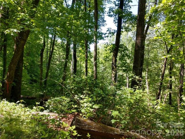 00 Hudson Valley Drive 11, Waynesville, NC 28786