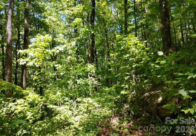 00 Hudson Valley Drive 11, Waynesville, NC 28786