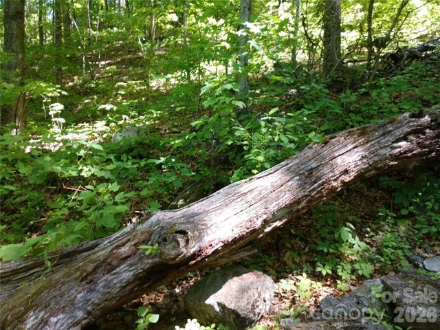 00 Hudson Valley Drive 11, Waynesville, NC 28786