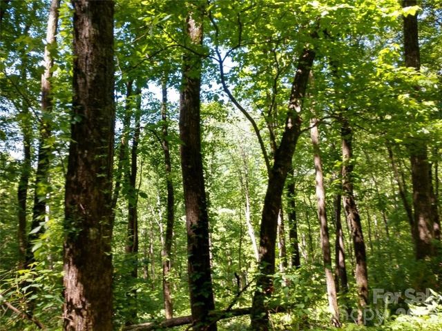 00 Hudson Valley Drive 11, Waynesville, NC 28786