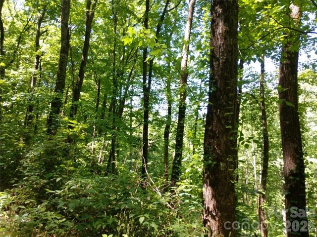 00 Hudson Valley Drive 11, Waynesville, NC 28786
