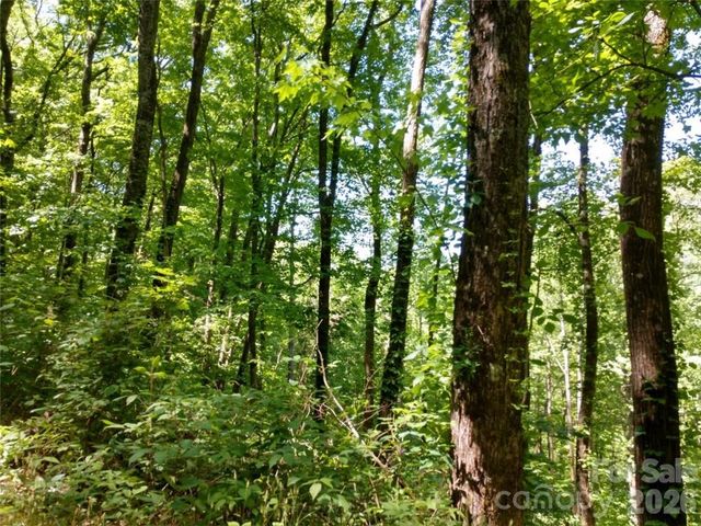 00 Hudson Valley Drive 11, Waynesville, NC 28786