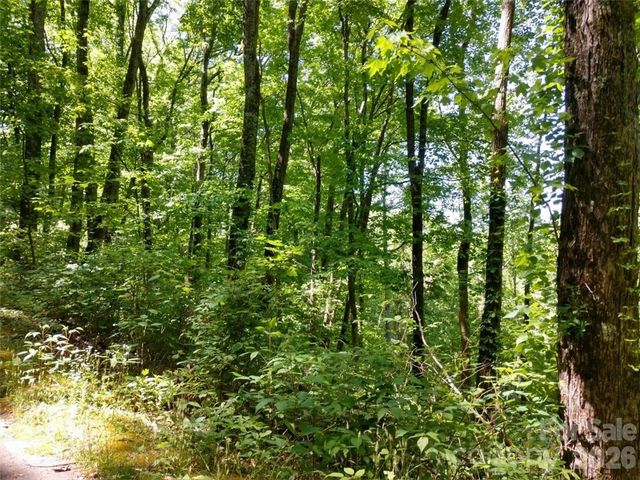00 Hudson Valley Drive 11, Waynesville, NC 28786