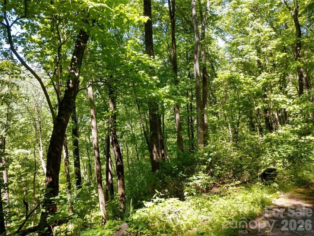 00 Hudson Valley Drive 11, Waynesville, NC 28786