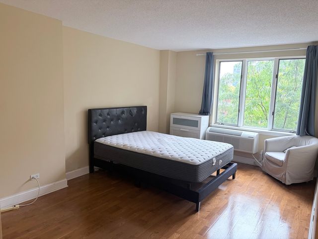 801 S PLYMOUTH Court 306, Chicago, IL 60605