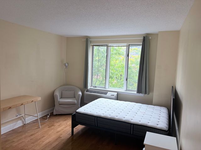 801 S PLYMOUTH Court 306, Chicago, IL 60605