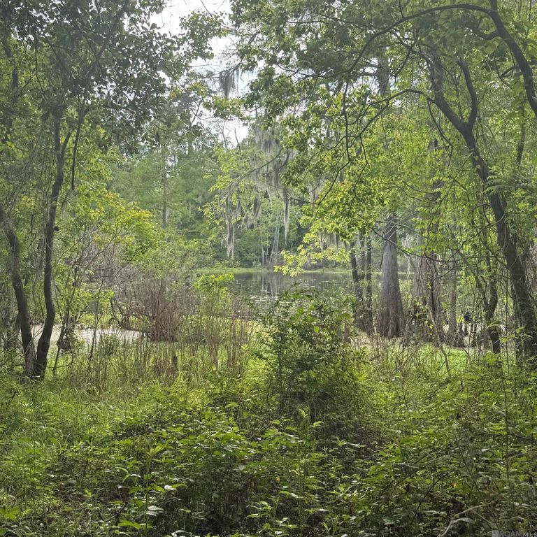 LOT-137 Amite River Rd, Baton Rouge, LA 70817