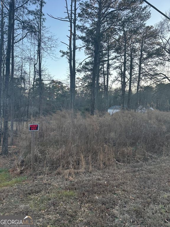 578 COOK Drive, Ellenwood, GA 30294