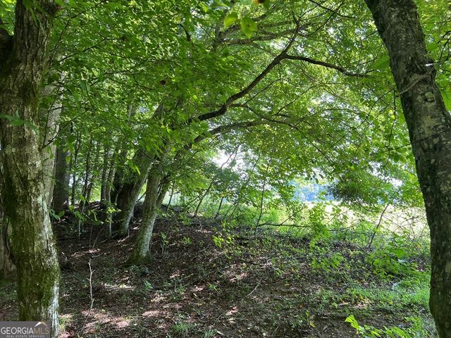 LOT 8 Old Birch Bend Court, Blairsville, GA 30512