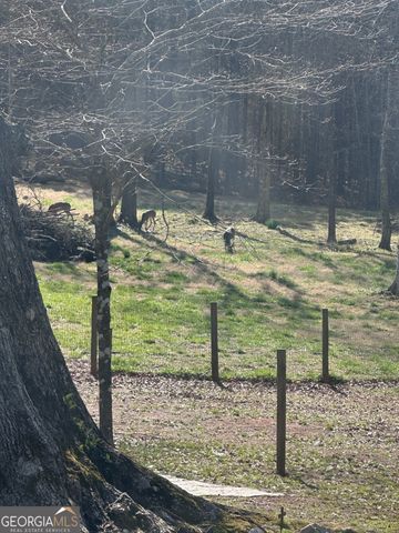 5111 Greensboro Road, Washington, GA 30673