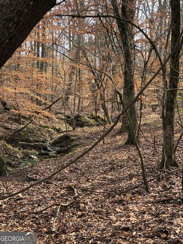 5111 Greensboro Road, Washington, GA 30673