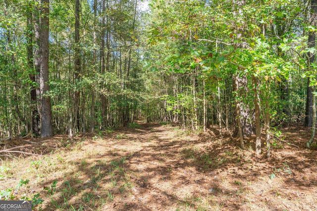 5111 Greensboro Road, Washington, GA 30673