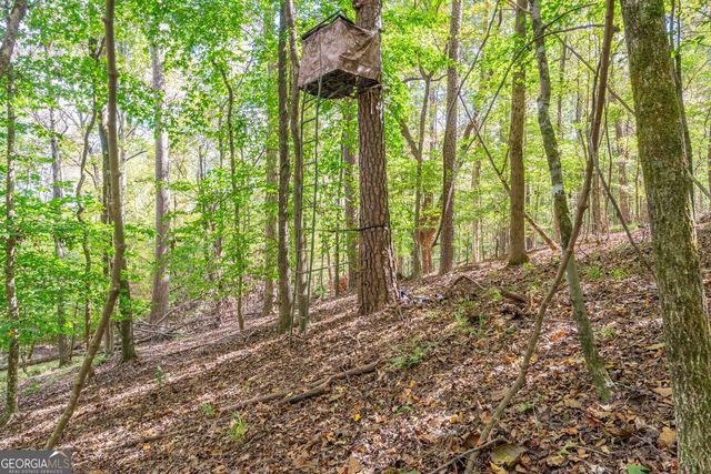 5111 Greensboro Road, Washington, GA 30673