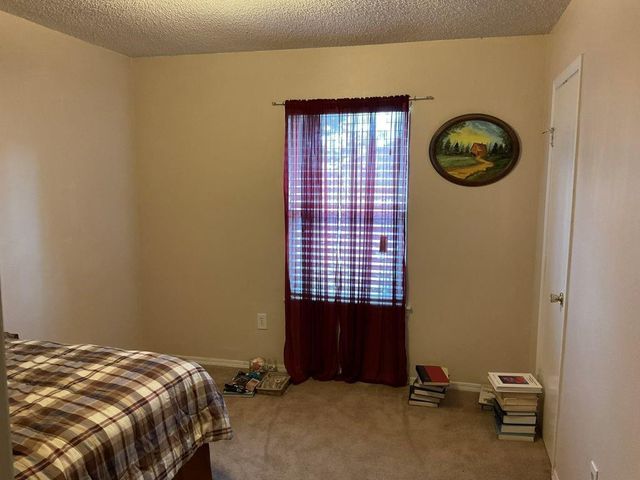 16319 Pitch Pine Drive, Houston, TX 77070