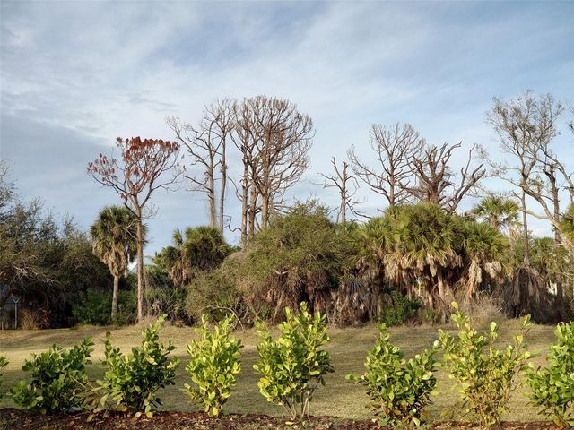 10071 CREEKSIDE DRIVE, Placida, FL 33946