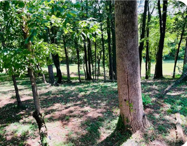 145 Gamble St, Doyle, TN 38559