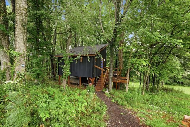 145 Gamble St, Doyle, TN 38559