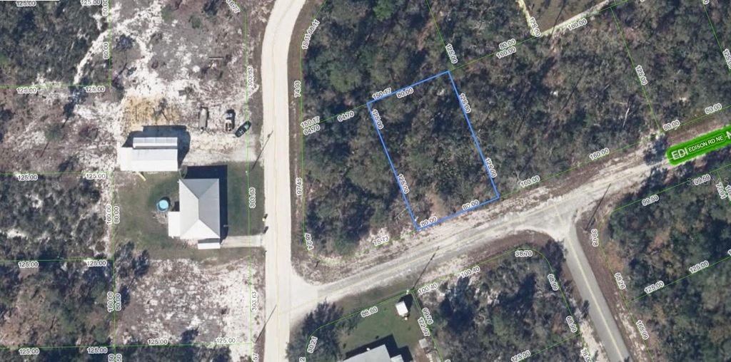 102 EDISON ROAD NE, Lake Placid, FL 33852