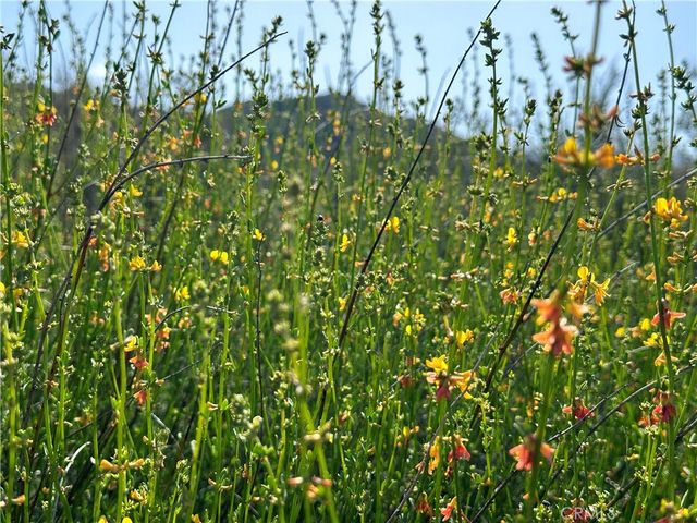 40 Winery Lane, Warner Springs, CA 92086