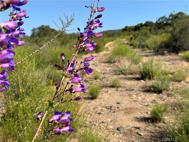 40 Winery Lane, Warner Springs, CA 92086