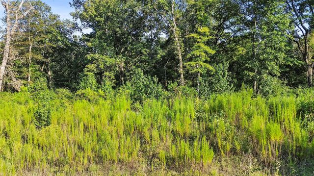 Lot 96 County Road 114, Centerville, TX 75833