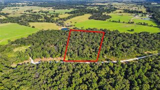 Lot 96 County Road 114, Centerville, TX 75833