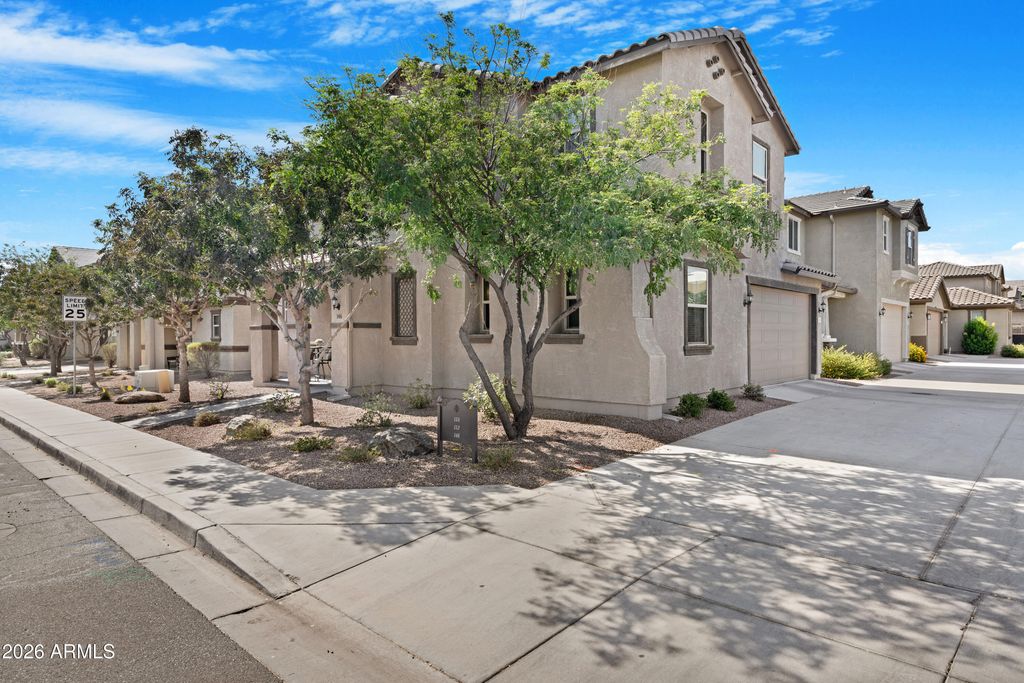 146 E BLUEJAY Drive, Chandler, AZ 85286 — photo 3